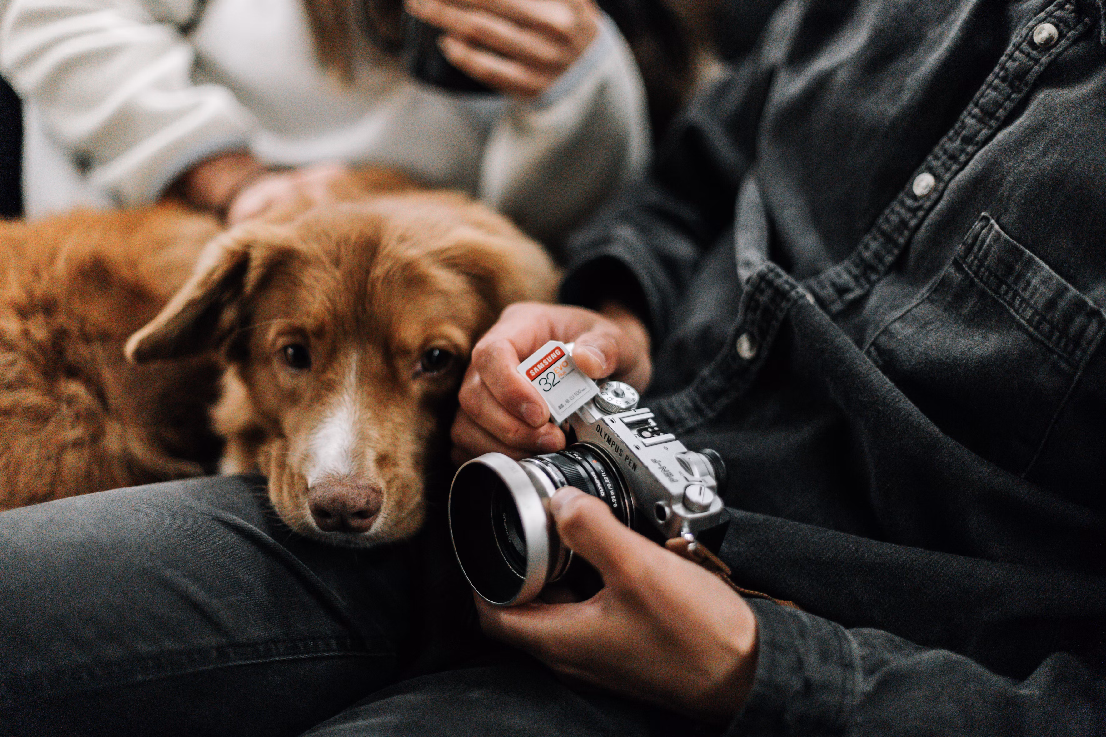 Photographer and his dog holding a camera and a SD card